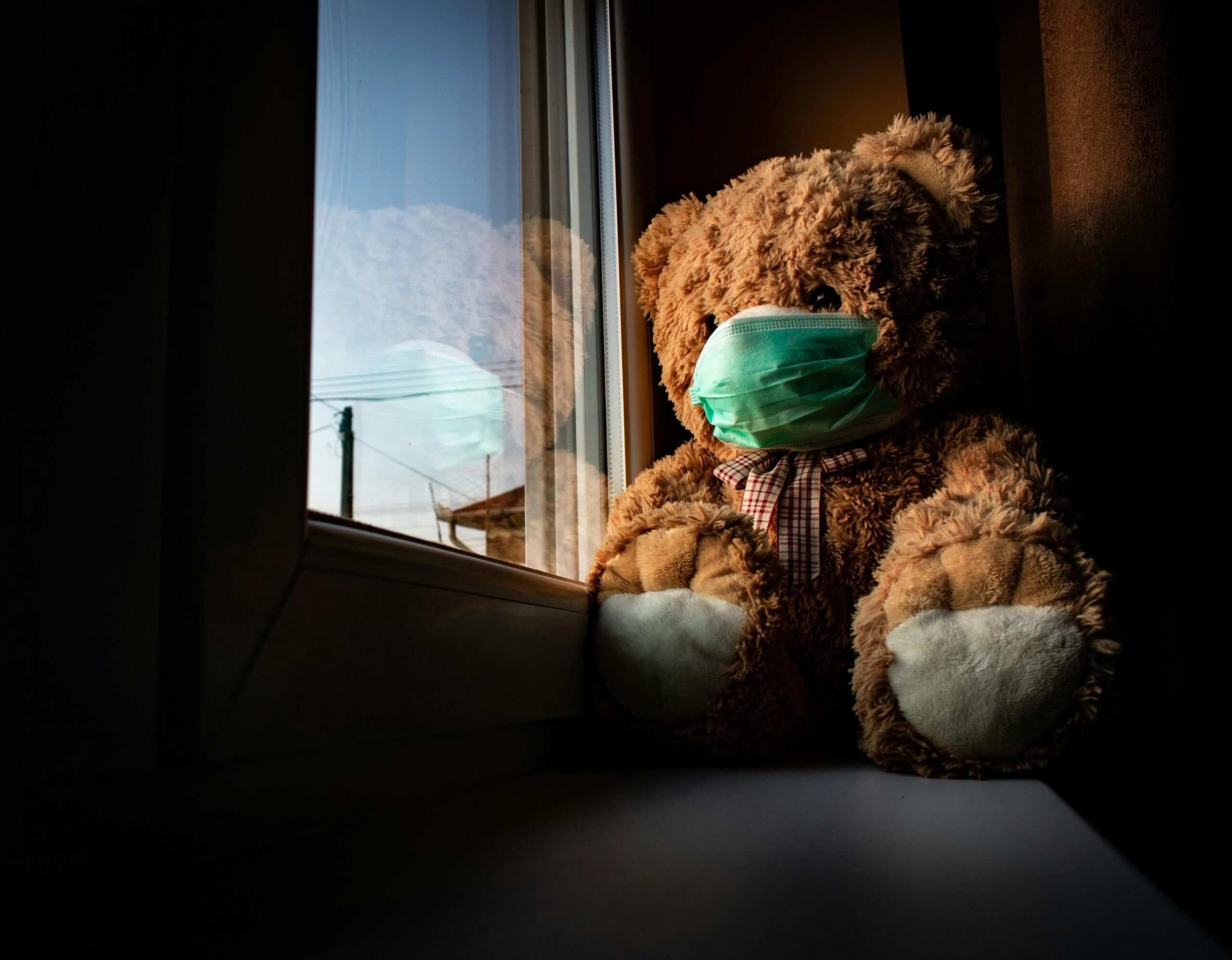Cute teddy bear wearing a face mask sitting by a window, reflecting quarantine life.