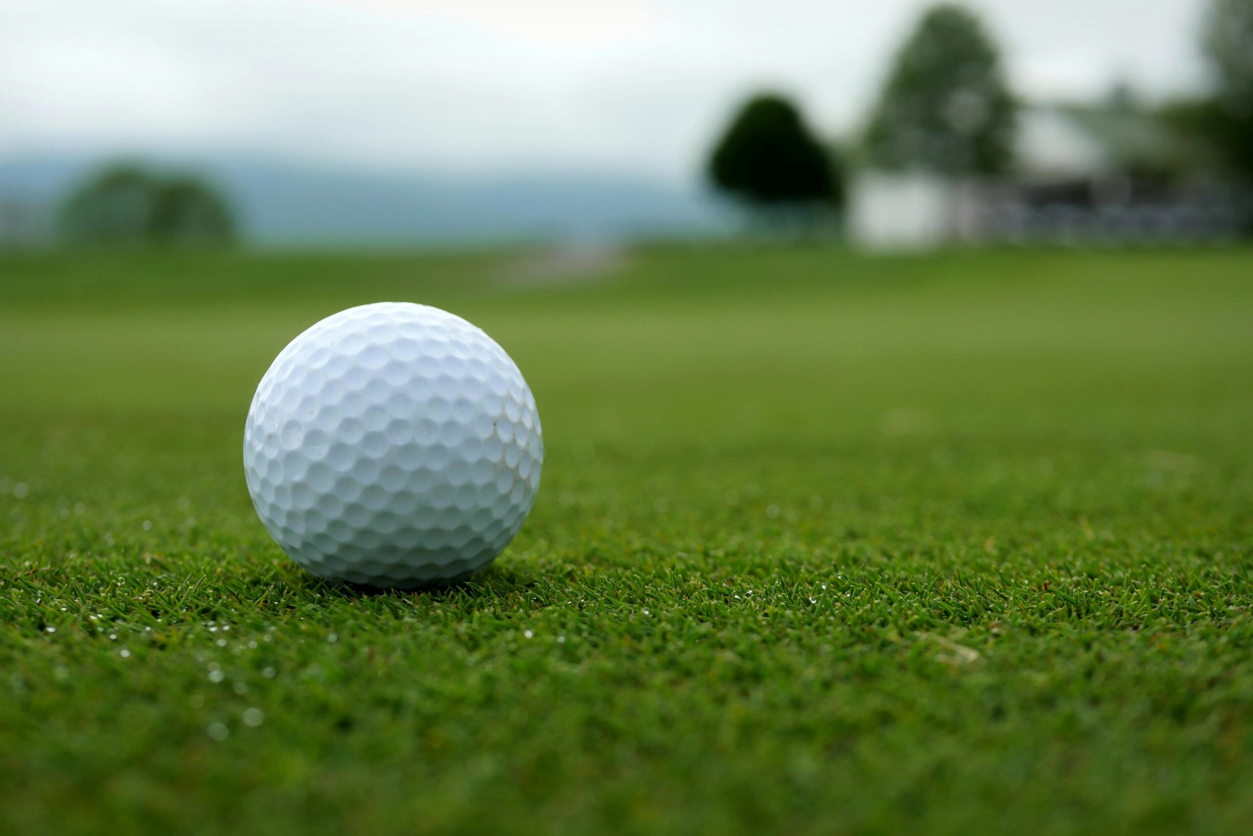 A detailed view of a golf ball on a lush green golf course, highlighting its texture.